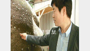 [오늘의 채널A]바위에 동전 붙이면 소원 이뤄진다는데…