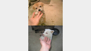 여자 손과 남자 손의 차이, “역시 남자는 다 똑같아” 폭소!