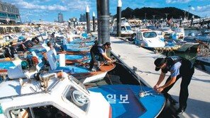 [광주/전남]태풍 대비해 어선 묶는 목포해경