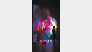 빛-영상-사운드의 환상 3박자… 스위스 영상작가 피필로티 리스트 전