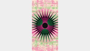 선과 도형 기하의 세계에 흠뻑… 재미화가 이상남 전