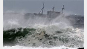 [영상] 태풍 볼라벤 제주도 피해, 5만 가구 정전