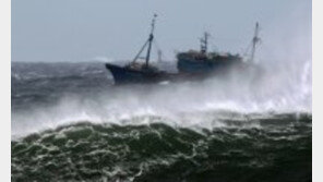 [영상] 제주도 현재 상황, 5만여 가구 정전 피해