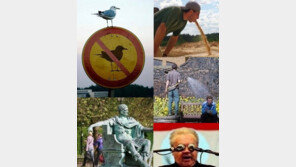 절묘한 순간 찍은 사진들 후속 시리즈 등장! “나도 해볼까?”