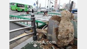 [SD포토] 태풍 볼라벤에 쓰러진 대형 광고판 