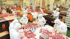 축산농가, 추석특수에 시름 덜까