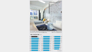 오피스텔 뜨거운 인기… “공급과잉 주의”