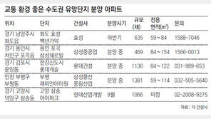“서울 전세금으로 수도권에 내집을”
