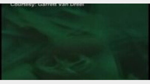 [영상] 물 속 미라 발견, 13년 전 친구 살리고 숨진 다이버