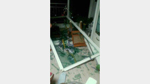 신문지의 패배, 하지만 이것이 최선의 방법! “덴빈 때도 주의 요망”