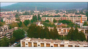 서울 4인가구 최저생계비 10년 모아야 전셋집 마련