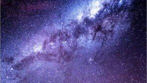 역대 최고의 웨딩사진, “아름답긴 하지만 부부는 71초 동안...”