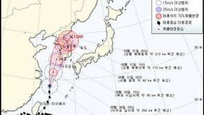 “14호 태풍 덴빈, 금요일 새벽 서울 관통”