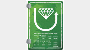 중국 갔던 국내 주얼리 기업들 ‘보석 같은 U턴’