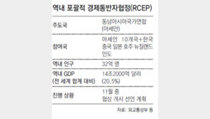 정부 “아세안 주도 아태FTA 협상 참여”