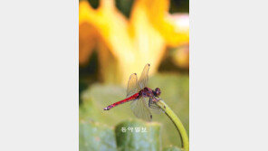 [부산/경남]태풍 지나간 자리…가을이 성큼