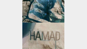 우주급 허세 등장… ‘장근석 보고 있나?’