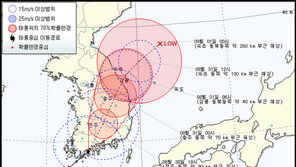 태풍 ‘덴빈’ 수도권 아래 내륙 관통…호남지방 물폭탄