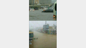 태풍 덴빈 경로 변경, 대구·경북 비상…목포 도심 ‘물바다’