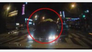 [영상] 부산 다이하드 경찰 “마약범 차량에 매달려 검거”