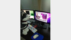 ‘개콘’ 편집 중인 브라우니! 연예인 못지않은 인기 관리