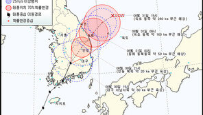 오락가락 태풍 덴빈 경로…‘물폭탄’ 세례는 어디로?