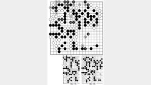 [바둑]제56기 국수전… 실착 154