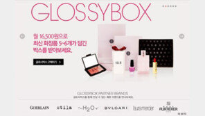 쇼퍼홀릭 사로잡을 온라인 쇼핑몰의 변신 ‘눈길’ 