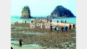 [대전/충남]꽃지 해변 -천리포수목원… 와 보셨나요?