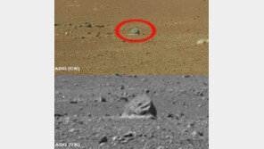 화성 물고기 화석 발견 ‘신기하긴 하지만…’