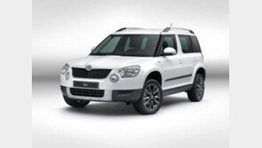 “특별함만 담았다!” 소치 동계올림픽 車 출시