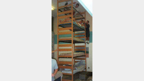 절약형 5층 침대, ‘체력과 용기 필수 요건’ 폭소