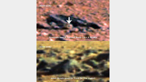 화성 뱀 형상 물체, 외계 생명체? ‘추측 증폭’