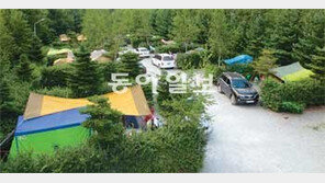 [숲으로 가자]<4> 휴양림 오토캠핑