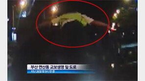 [뉴스A]마약 범죄자 잡은 ‘다이하드 경찰관’ 1계급 특진