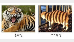 컴퓨터 할 때 우리들의 모습, 소름돋는 비유 ‘대박’