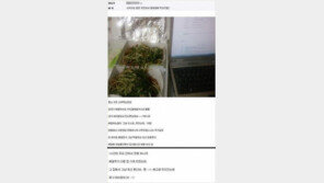 시키지도 않은 치킨, 결말은… “이런 식으로 장사할래?”