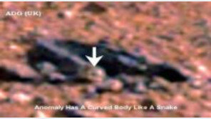 [영상] 화성 뱀 형상 물체 포착, 외계 생명체 존재?