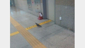 ‘표 안 끊은 고갱님’ 무임승차면 운임이 몇배더라?