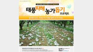 옥션, 태풍 피해 농가지원 낙과 50%이상 할인 판매