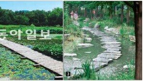 [수도권]가을을 찾아… 가든속으로~