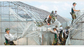 [광주/전남]군 장병들 태풍피해 복구 지원 구슬땀