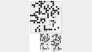 [바둑]제56기 국수전… 노림 수 188