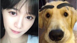 구혜선 애완견 닮은꼴, “안 닮았지만… 둘 다 너무 귀여워”
