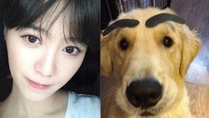 구혜선 애완견 주인과 닮은꼴 “숯검댕이 눈썹 귀여워”
