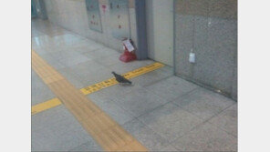 표 안 끊은 고객님, “표 끊은 게 더 이상할 듯”