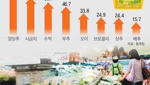 물가 안올랐다는데 왜 장보기가 겁날까