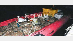 고무보트까지 동원해 암컷대게 불법 어획