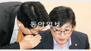 ‘내곡동 특검법’ 국회 통과… 靑 거부권 쓸까