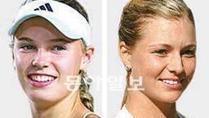 女테니스 별들 서울 밝힌다